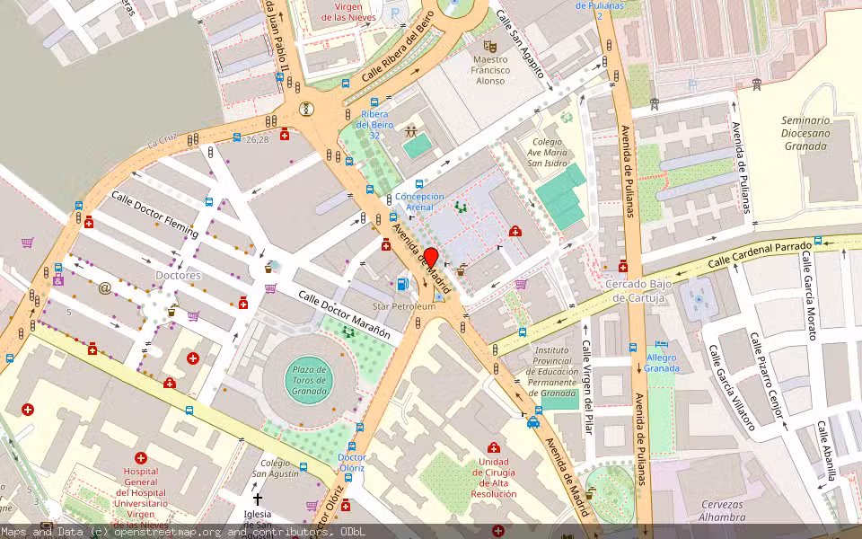 Mapa de Subasta Inmueble (Local comercial) en Granada