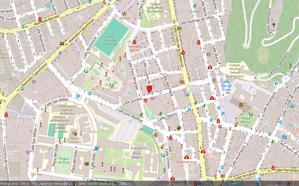 Mapa de Subasta Inmueble (Vivienda) en Malaga, Málaga