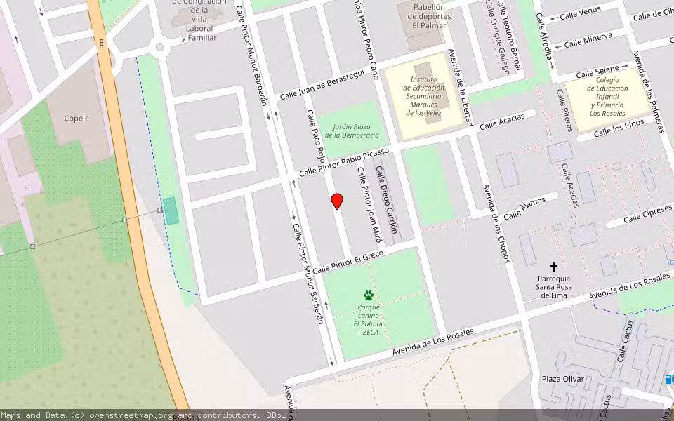 Mapa de Subasta Inmueble (Vivienda) en El Palmar, Murcia