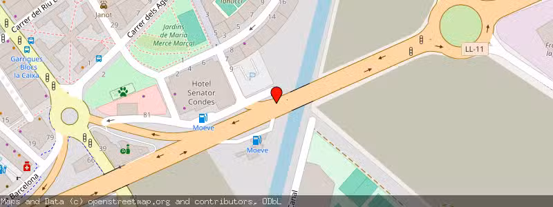 Mapa de Subasta de Inmueble (Local comercial) en Lleida, Lérida (Lleida) 