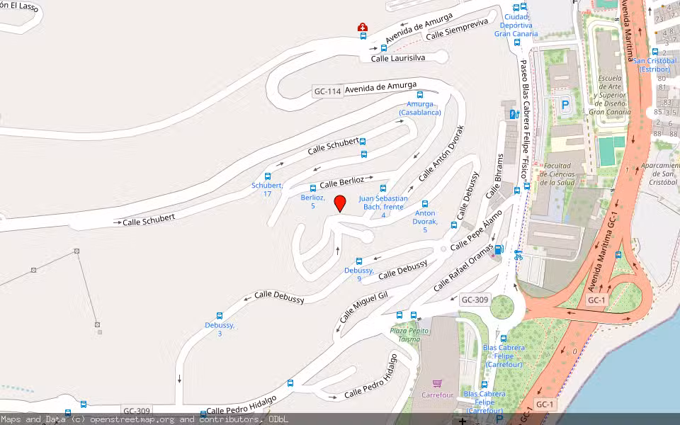 Mapa de Subasta Inmueble (Vivienda) en Las Palmas De Gran Canaria, Las Palmas