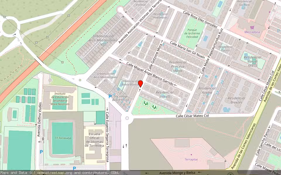 Mapa de Subasta Inmueble (Vivienda) en Torrevieja, Alicante/Alacant