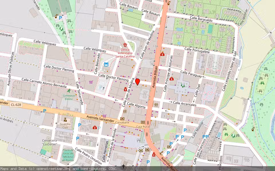 Mapa de Subasta Inmueble (Vivienda) en Medina De Pomar, Burgos