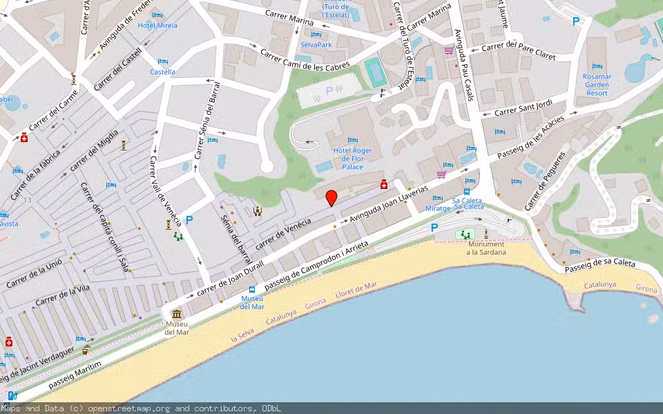 Mapa de Subasta Inmueble (Vivienda) en Lloret De Mar, Girona
