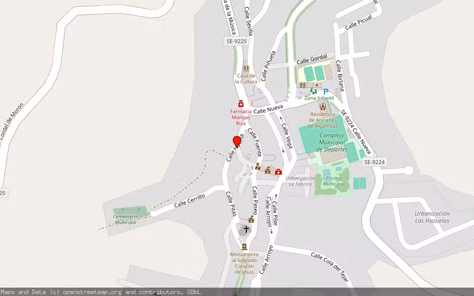 Mapa de Subasta Inmueble (Vivienda) en Algamitas, Sevilla