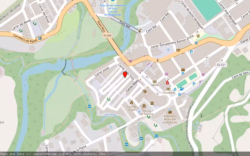Mapa de Subasta Inmueble (Local comercial) en Sant Joan De Les Abadesses, Girona