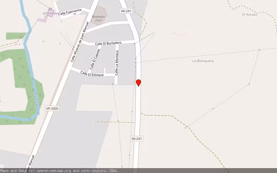 Mapa de Subasta Inmueble (Vivienda) en Peñafiel, Valladolid