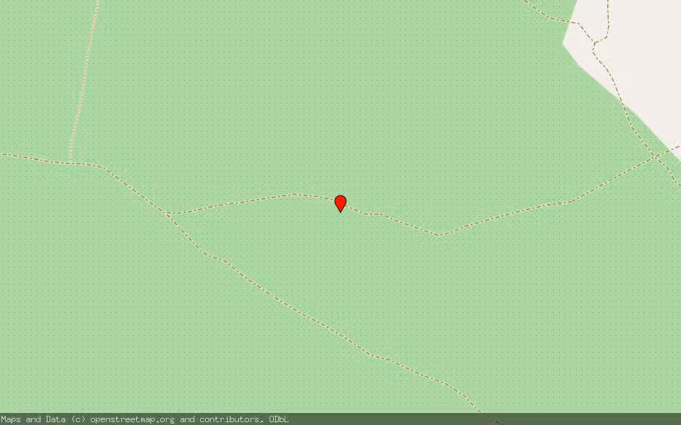 Mapa de Subasta Inmueble (Finca rústica) en Piedrabuena, Ciudad Real