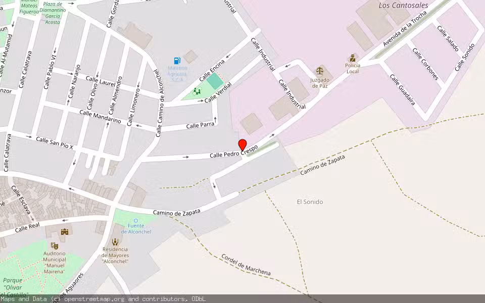 Mapa de Subasta Inmueble (Nave industrial) en Mairena Del Alcor, Sevilla