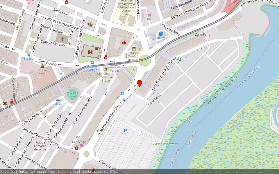 Mapa de Subasta Inmueble (Vivienda) en San Fernando, Cádiz