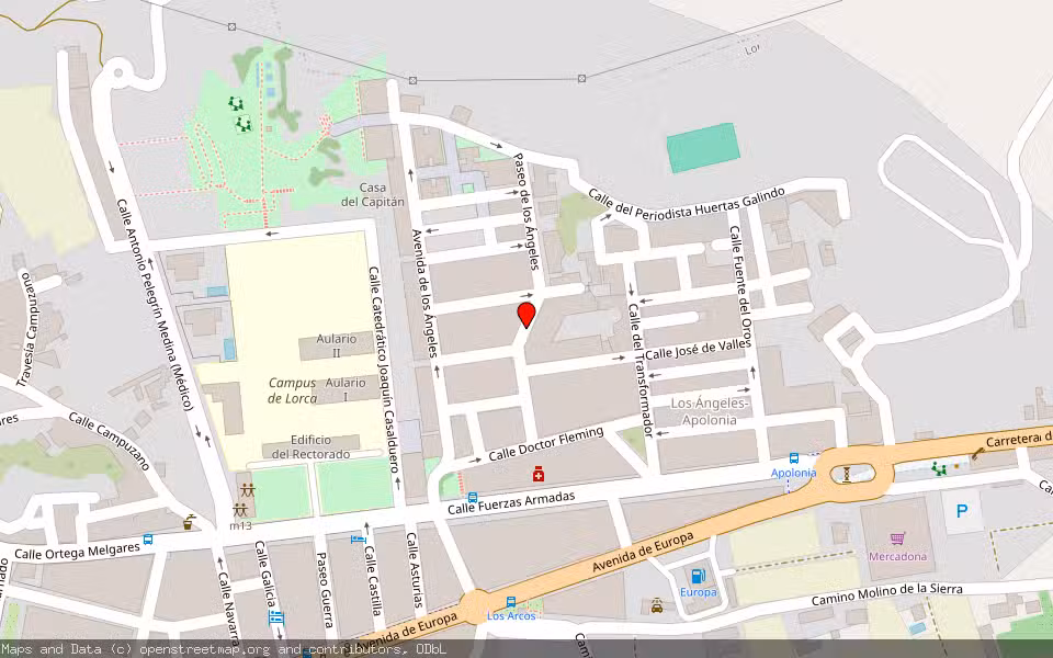 Mapa de Subasta Inmueble (Vivienda) en Lorca, Murcia