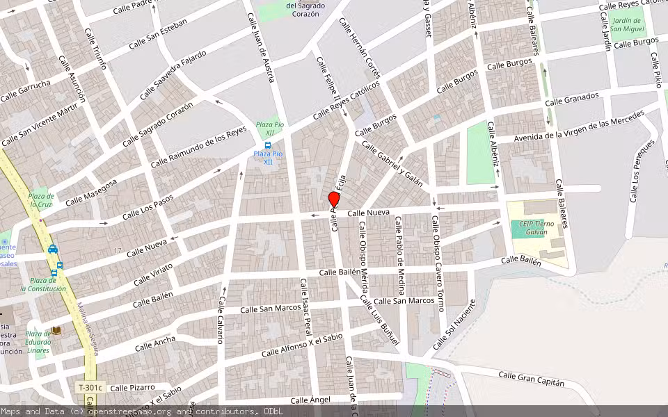 Mapa de Subasta Inmueble (Vivienda) en Molina De Segura, Murcia