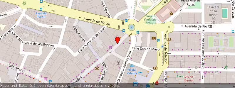 Mapa de Subasta de Inmueble (Local comercial) en Talavera De La Reina, Toledo 