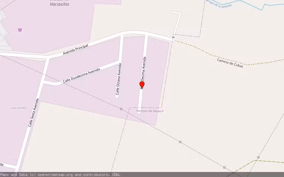 Mapa de Subasta Inmueble (Nave industrial) en Torrejon De La Calzada, Madrid