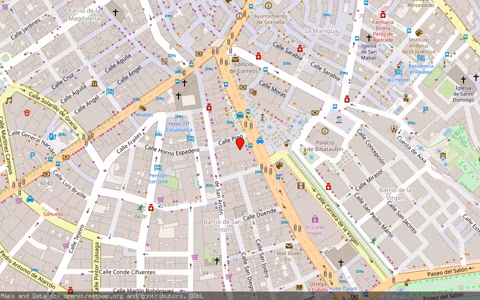 Mapa de Subasta Inmueble (Local comercial) en Granada