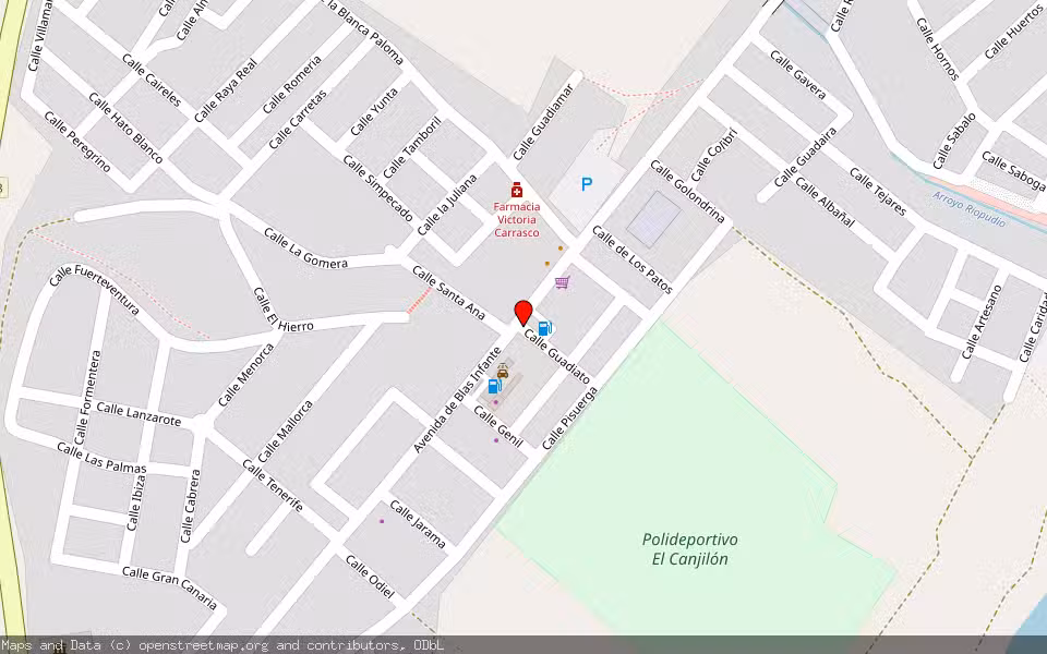 Mapa de Subasta Inmueble (Nave industrial) en Coria Del Río, Sevilla