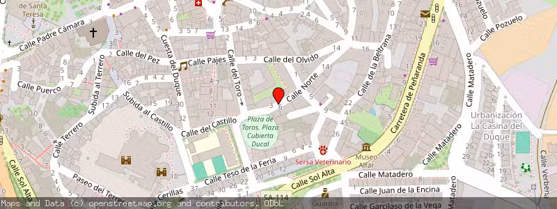 Mapa de Subasta de Inmueble (Otros) en Salamanca 
