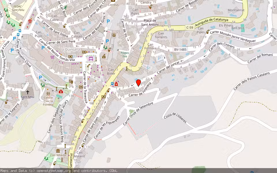 Mapa de Subasta Inmueble (Vivienda) en Sant Feliu De Codines, Barcelona
