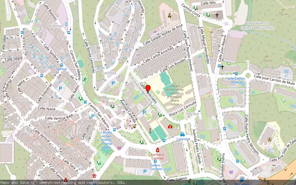 Mapa de Subasta Inmueble (Vivienda) en Málaga