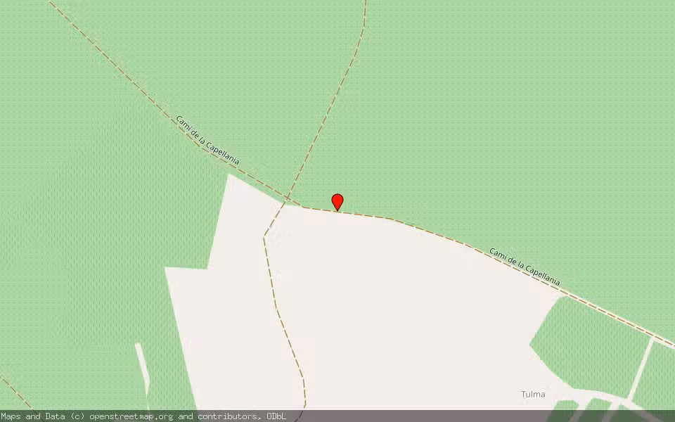 Mapa de Subasta Inmueble (Finca rústica) en Pinoso, Alicante/Alacant