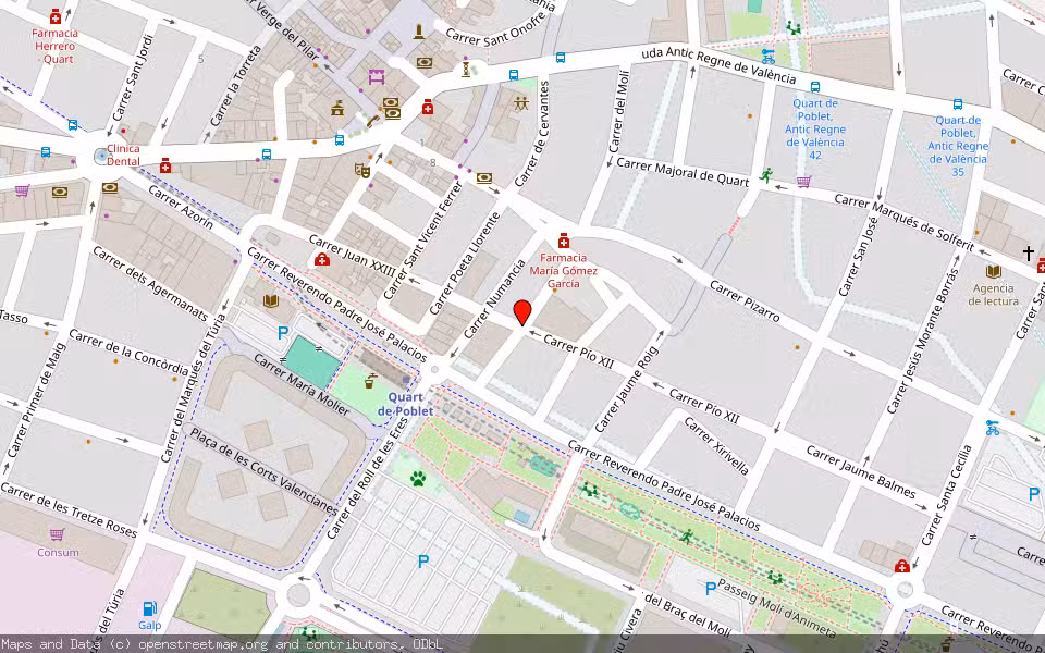 Mapa de Subasta Inmueble (Finca rústica) en Quart De Poblet, Valencia/València
