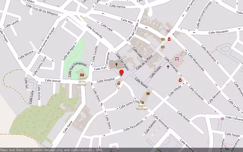 Mapa de Subasta Inmueble (Vivienda) en Cartaya, Huelva