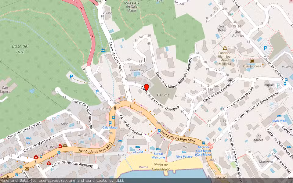 Mapa de Subasta Inmueble (Local comercial) en Palma, Illes Balears