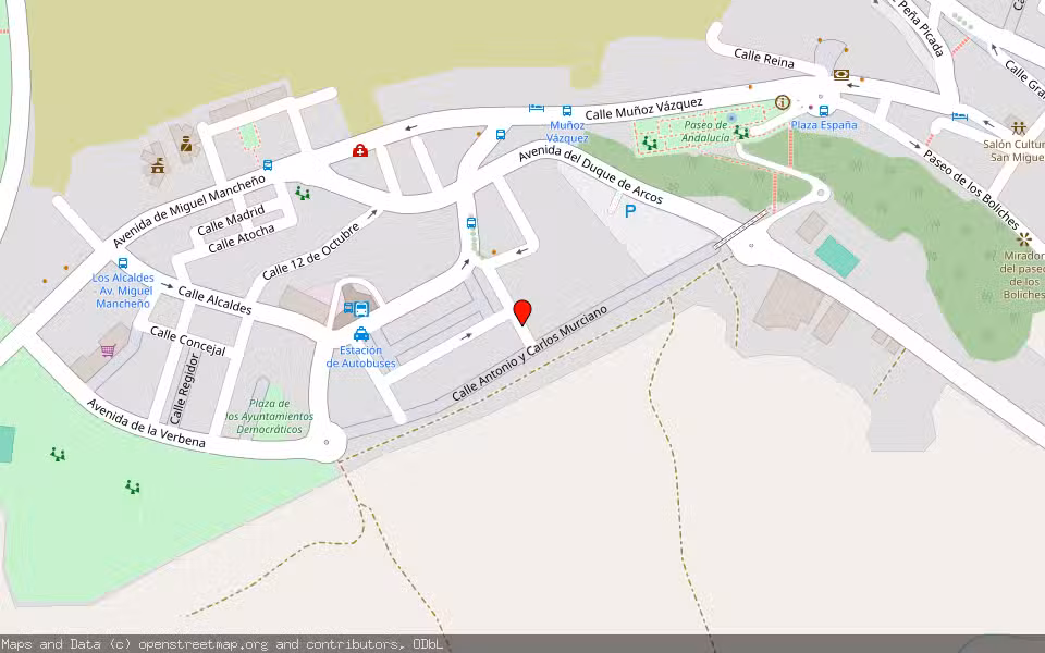 Mapa de Subasta Inmueble (Local comercial) en Arcos De La Frontera, Cádiz