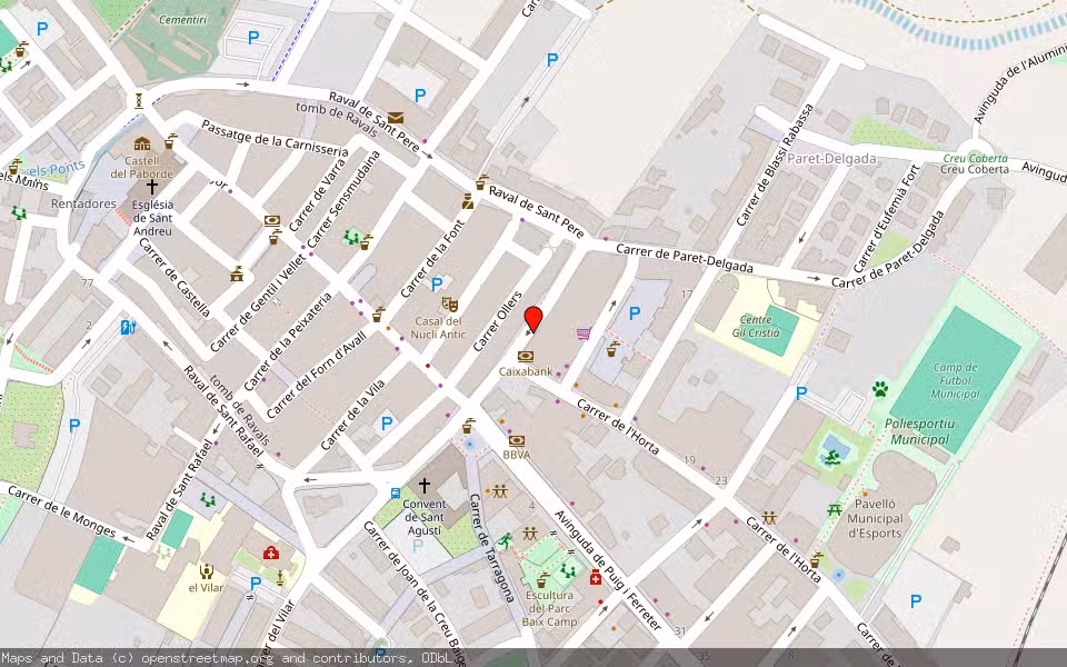Mapa de Subasta Inmueble (Vivienda) en La Selva Del Camp, Tarragona