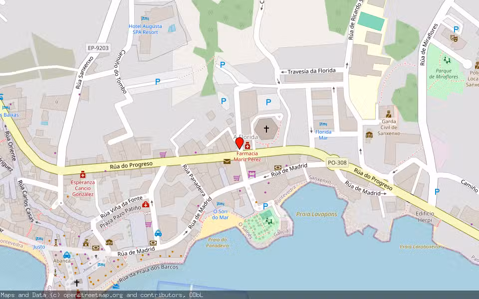 Mapa de Subasta Inmueble (Vivienda) en Sanxenxo, Pontevedra