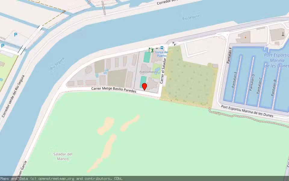 Mapa de Subasta Inmueble (Vivienda) en Guardamar Del Segura, Alicante/Alacant