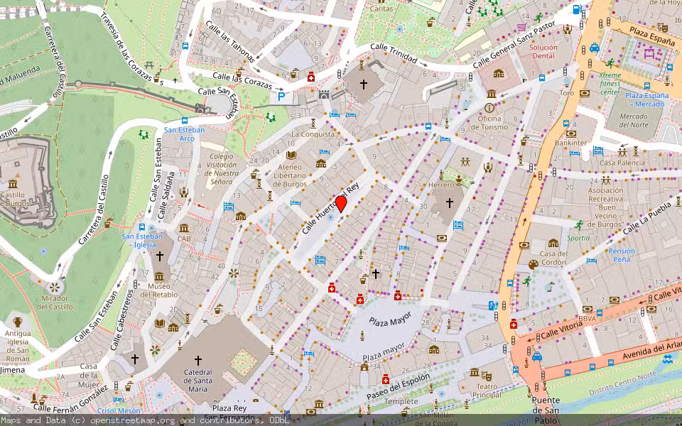 Mapa de Subasta Inmueble (Local comercial) en Burgos