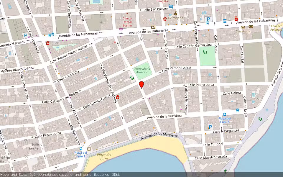 Mapa de Subasta Inmueble (Vivienda) en Torrevieja, Alicante/Alacant