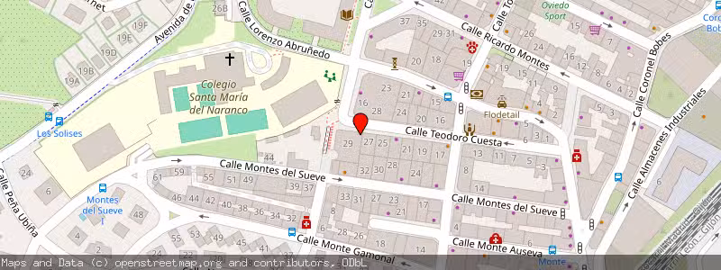 Mapa de Subasta de Inmueble (Vivienda) en Oviedo, Asturias 