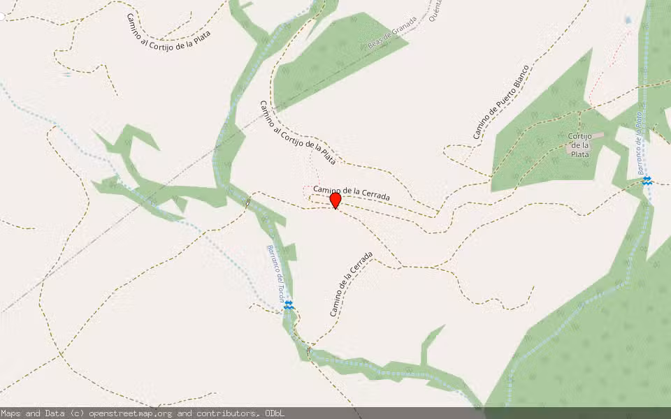 Mapa de Subasta Inmueble (Finca rústica) en La Peza, Granada