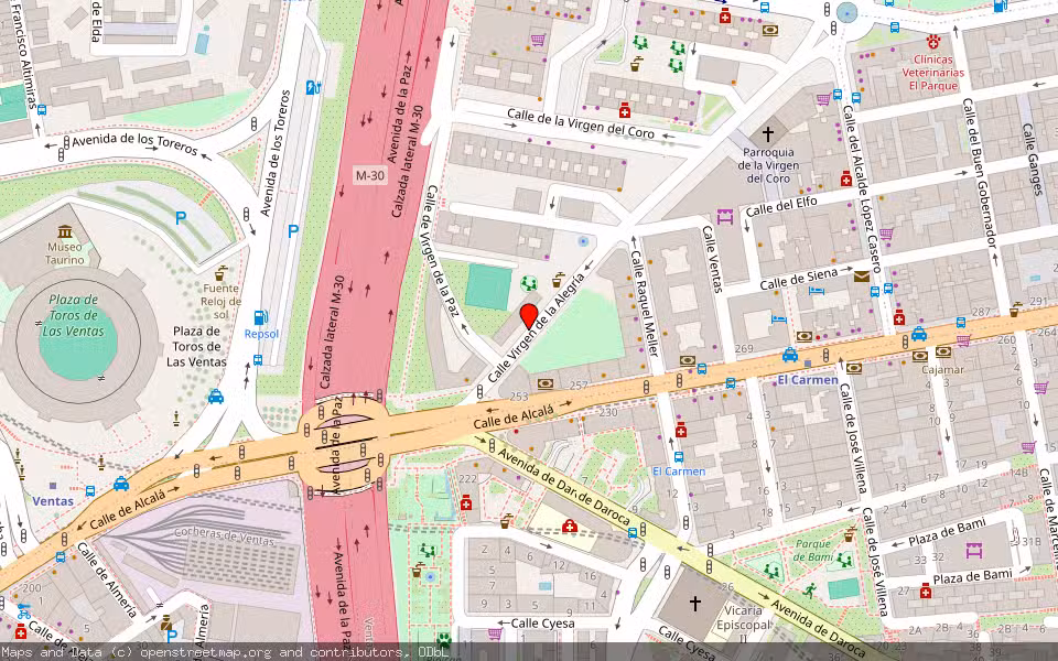 Mapa de Subasta Inmueble (Garaje) en Madrid
