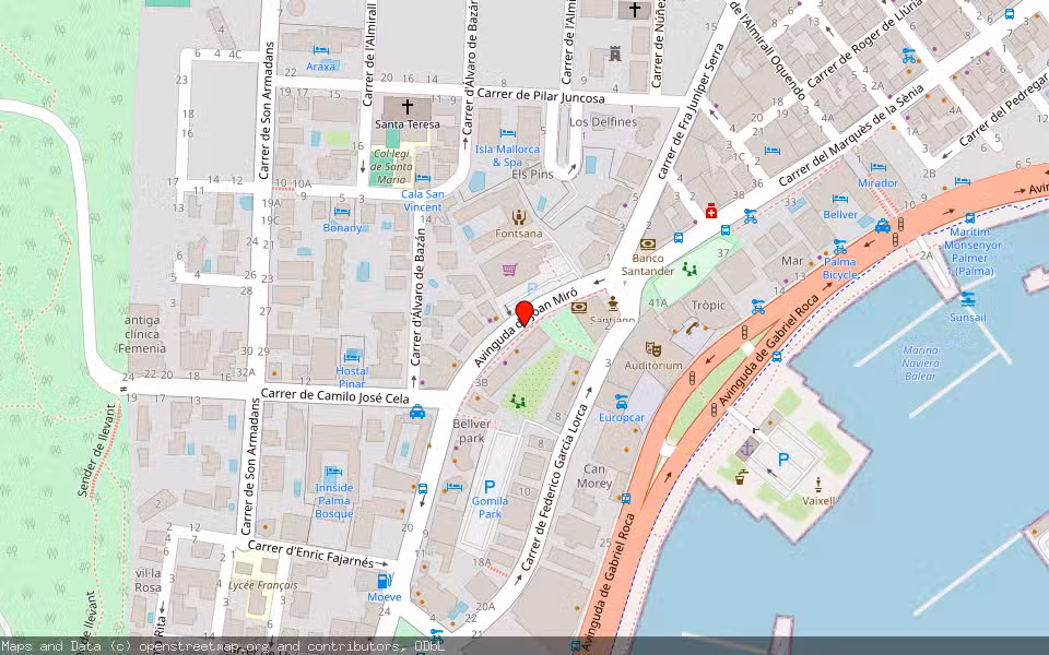 Mapa de Subasta Inmueble (Garaje) en Palma, Illes Balears