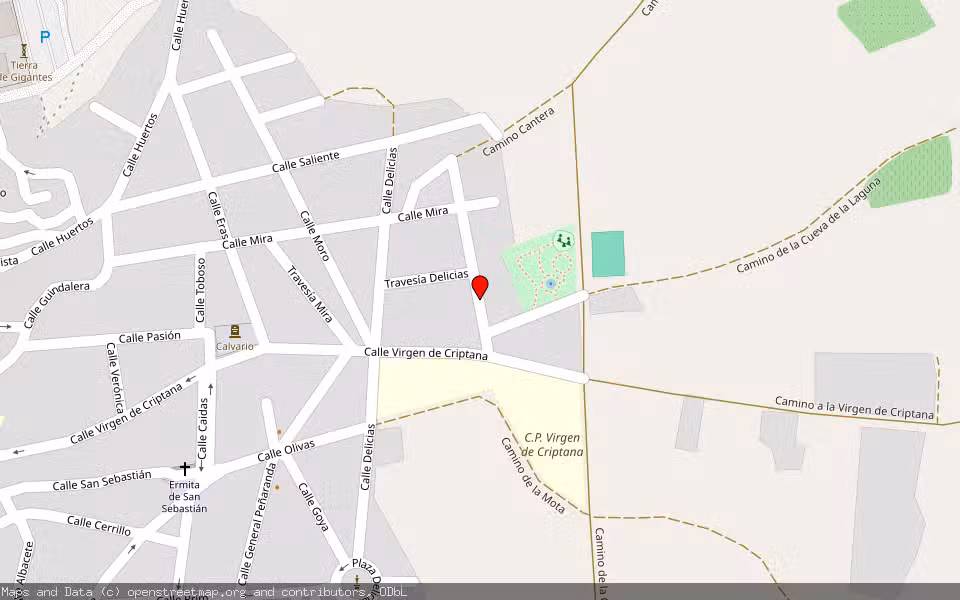 Mapa de Subasta Inmueble (Garaje) en Campo De Criptana, Ciudad Real