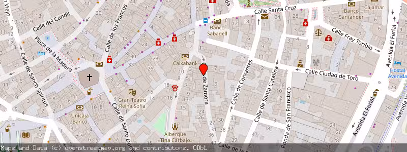 Mapa de Subasta de Inmueble (Vivienda) en Benavente, Zamora 