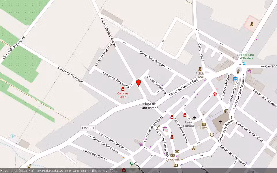 Mapa de Subasta Inmueble (Finca rústica) en Alcala De Xivert, Castellón/Castelló