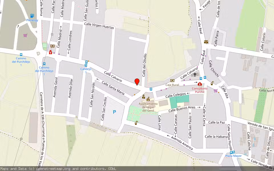 Mapa de Subasta Inmueble (Vivienda) en Purchil, Granada