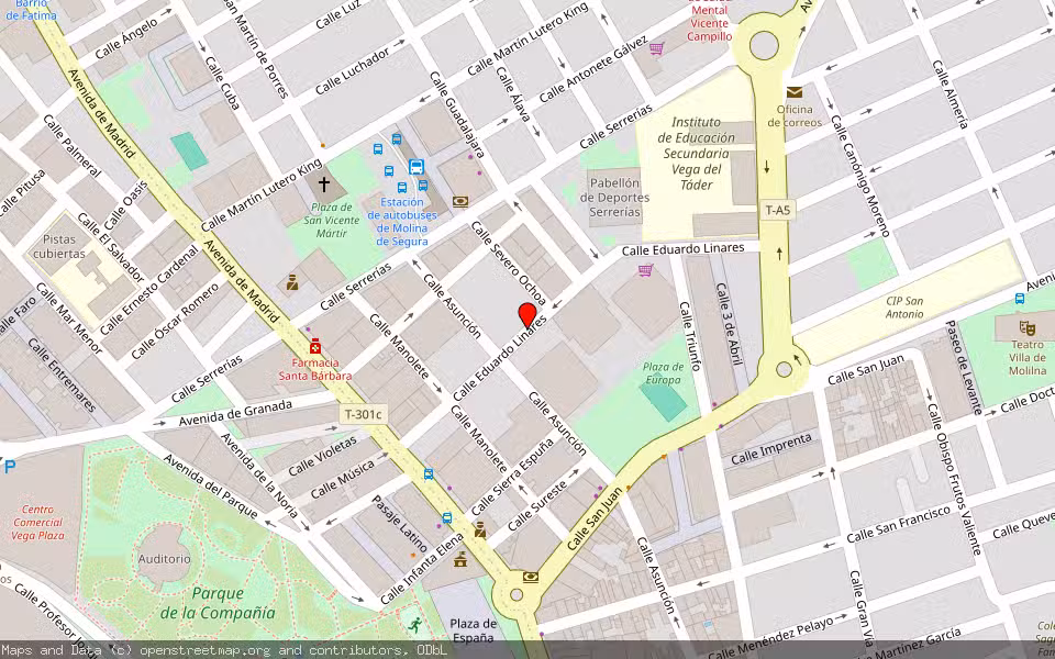 Mapa de Subasta Inmueble (Vivienda) en Molina De Segura, Murcia