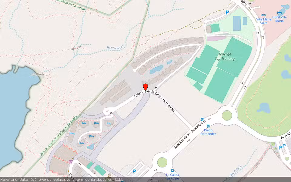 Mapa de Subasta Inmueble (Garaje) en Adeje, Santa Cruz de Tenerife