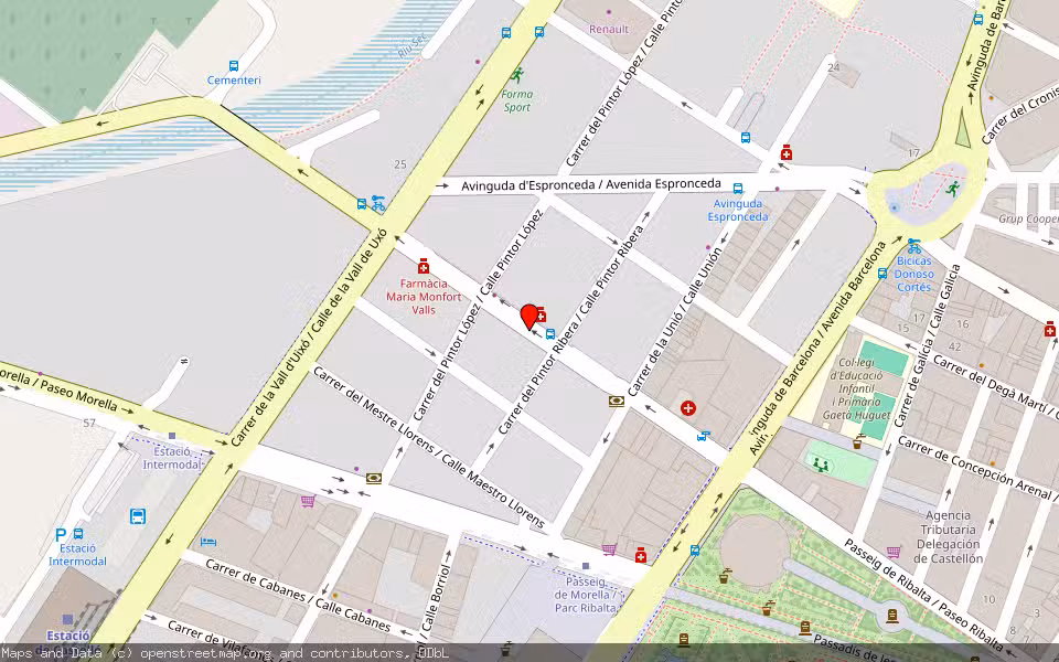 Mapa de Subasta Inmueble (Vivienda) en Castelló De La Plana, Castellón/Castelló