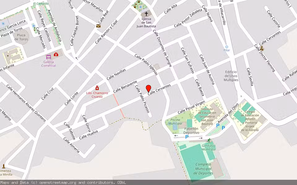 Mapa de Subasta Inmueble (Vivienda) en Nava De San Juan, Jaén