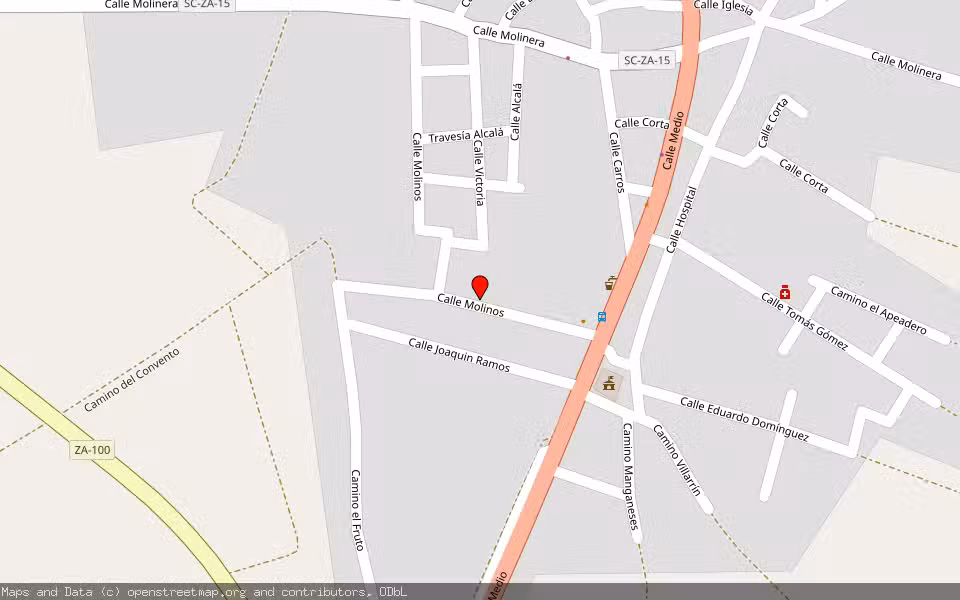 Mapa de Subasta Inmueble (Finca rústica) en Santovenia Del Esla, Zamora