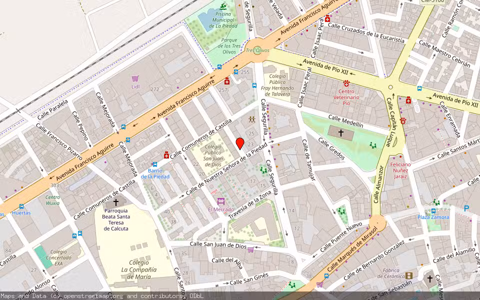 Mapa de Subasta Inmueble (Vivienda) en Talavera De La Reina, Toledo