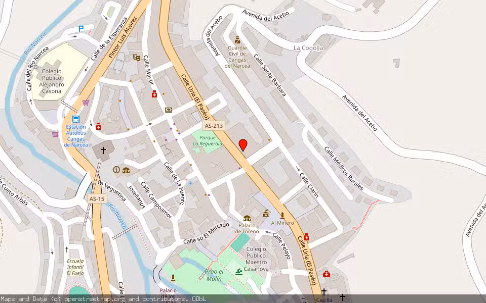 Mapa de Subasta Inmueble (Otros) en Cangas Del Narcea, Asturias