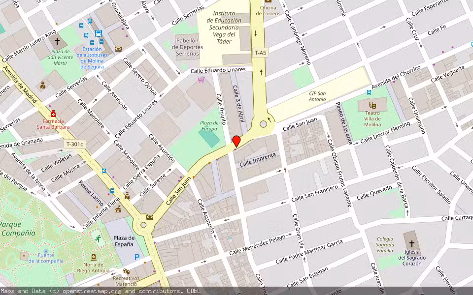 Mapa de Subasta Inmueble (Garaje) en Molina De Segura, Murcia