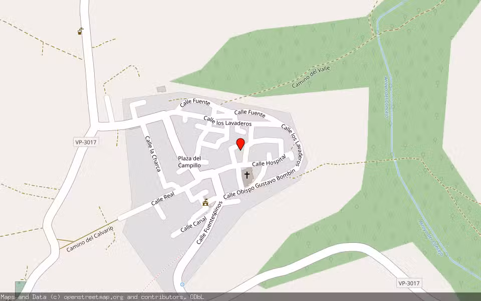 Mapa de Subasta Inmueble (Solar) en San Llorente, Valladolid
